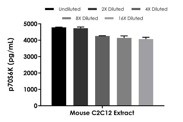 Sandwich ELISA - Human p70S6K ELISA Kit (AB283535)