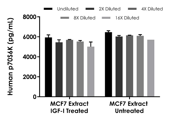 Sandwich ELISA - Human p70S6K ELISA Kit (AB283535)