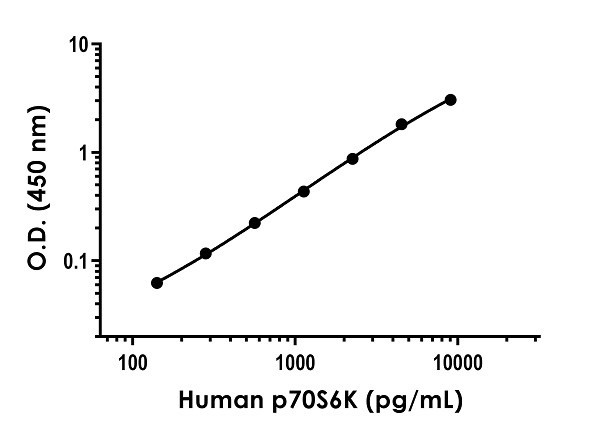 Sandwich ELISA - Human p70S6K (S6K1) Antibody Pair - BSA and Azide free (AB253579), expandable thumbnail