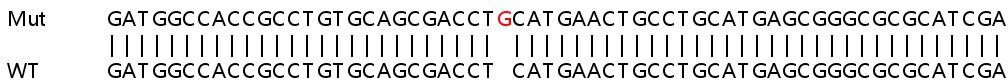 Sanger Sequencing - Human PACSIN2 knockout HeLa cell line (AB265298)