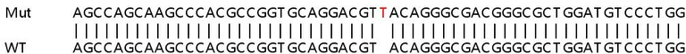 Sanger Sequencing - Human PAFAH1B3 knockout HEK-293T cell line (AB266669)
