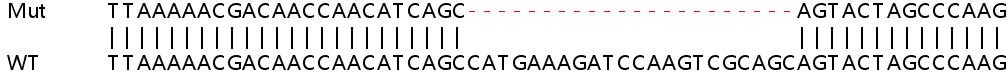 Sanger Sequencing - Human PAIP2 knockout HEK-293T cell line (AB266169), expandable thumbnail