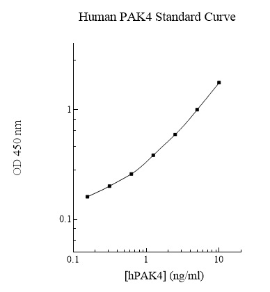 Sandwich ELISA - Human PAK4 ELISA Kit (AB284016), expandable thumbnail