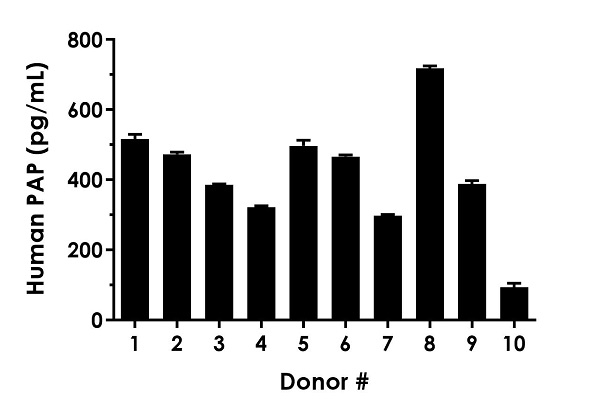 Sandwich ELISA - Human PAP ELISA Kit (ACPP) (AB267802)