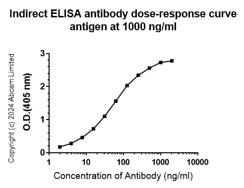 Indirect ELISA - Anti-Human Papilloma Virus L2 antibody [K4_HPV16L2(20-38)] - BSA and Azide free (AB321818)