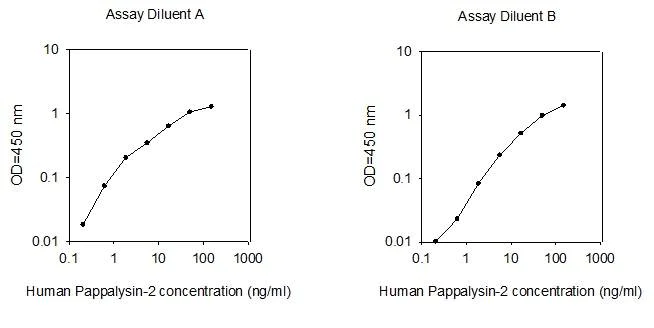 ELISA - Human PAPP A2 ELISA Kit (AB277446)