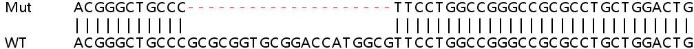 Sanger Sequencing - Human PAQR4 knockout HeLa cell line (AB265181)