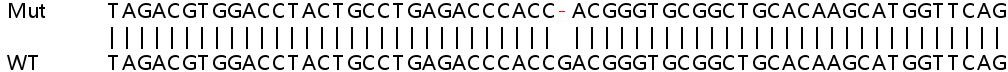 Sanger Sequencing - Human PARD6A (PAR6) knockout HeLa cell line (AB265171), expandable thumbnail