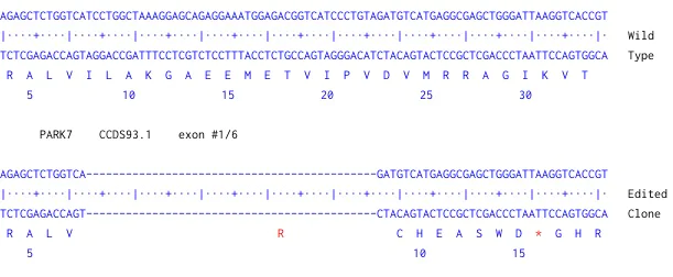 Next Generation Sequencing - Human PARK7 knockout U-87 MG cell line (AB306748)