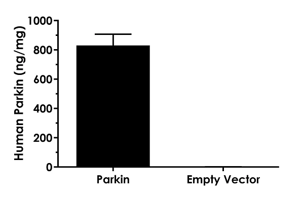 Sandwich ELISA - Human Parkin ELISA Kit (AB212159)