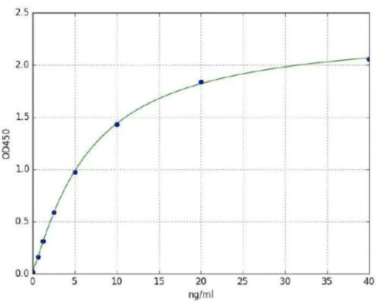 Sandwich ELISA - Human PARP1 ELISA Kit (AB285289)