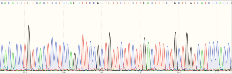 Sanger Sequencing - Human PARP1 knockout HEK-293T cell line (AB266598)
