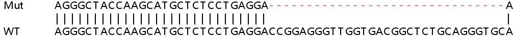 Sanger Sequencing - Human PARP10 (ARTD10) knockout A549 cell line (AB267162)