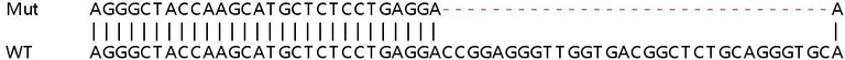 Sanger Sequencing - Human PARP10 (ARTD10) knockout A549 cell lysate (AB258564)