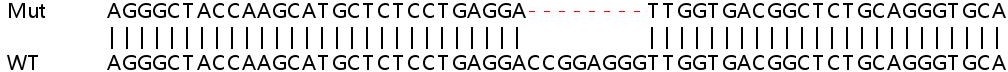 Sanger Sequencing - Human PARP10 (ARTD10) knockout A549 cell lysate (AB258564), expandable thumbnail