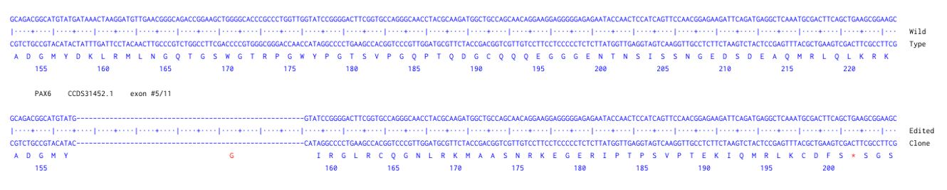 Next Generation Sequencing - Human PAX6 knockout A549 cell line (AB288955), expandable thumbnail