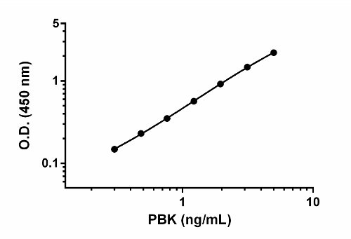 Sandwich ELISA - Human PBK ELISA Kit (AB184866)