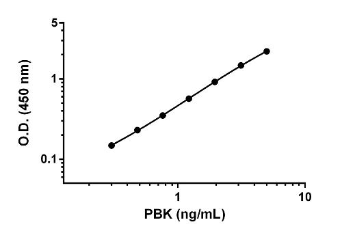 Sandwich ELISA - Human PBK ELISA Kit (AB184866)