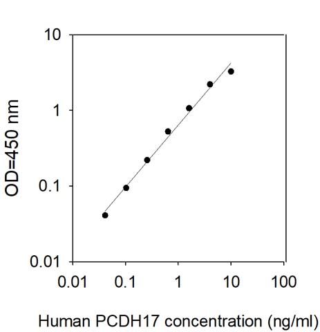 Sandwich ELISA - Human PCDH17 ELISA Kit (AB313920)