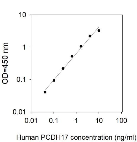 Sandwich ELISA - Human PCDH17 ELISA Kit (AB313920)