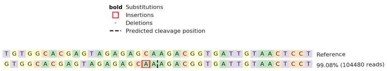 Next Generation Sequencing - Human PCK2 knockout MCF7 cell line (AB273845)