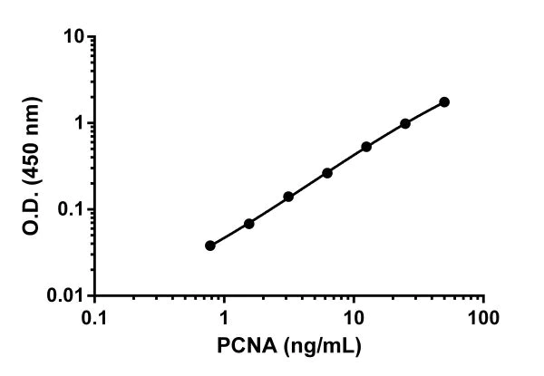 Sandwich ELISA - Human PCNA ELISA Kit (AB196270)