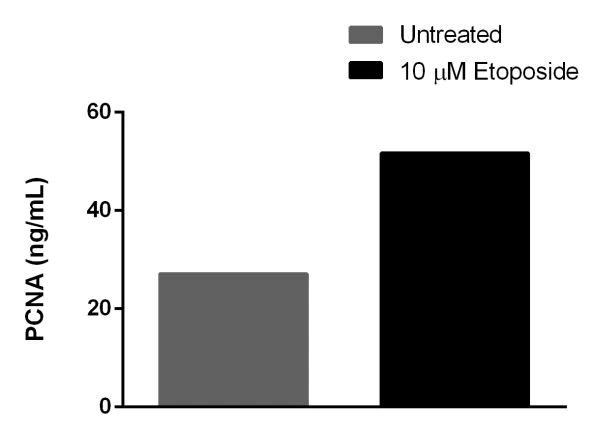 Sandwich ELISA - Human PCNA ELISA Kit (AB196270)