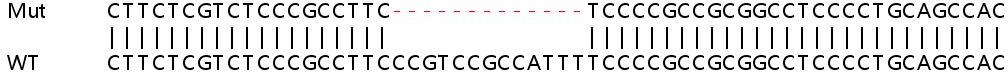 Sanger Sequencing - Human PCNP knockout HEK-293T cell lysate (AB259034)