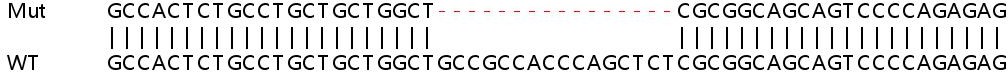 Sanger Sequencing - Human PCOLCE2 (PCPE-2) knockout HeLa cell lysate (AB259035), expandable thumbnail