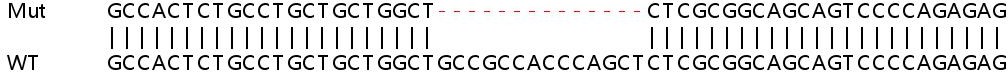 Sanger Sequencing - Human PCOLCE2 (PCPE-2) knockout HeLa cell lysate (AB259035), expandable thumbnail
