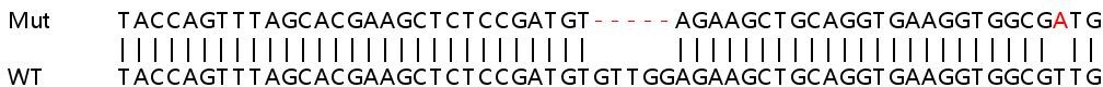 Sanger Sequencing - Human PDCD1 (PD1) knockout HeLa cell line (AB255417), expandable thumbnail