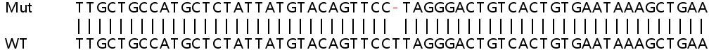 Sanger Sequencing - Human PDCD1LG2 (PD-L2) knockout A549 cell line (AB267002), expandable thumbnail