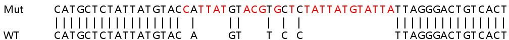 Sanger Sequencing - Human PDCD1LG2 (PD-L2) knockout A549 cell line (AB267002), expandable thumbnail
