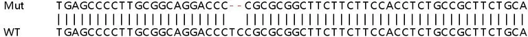 Sanger Sequencing - Human PDE3B knockout HeLa cell line (AB264718)