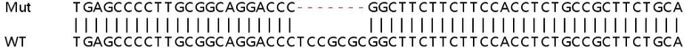 Sanger Sequencing - Human PDE3B knockout HeLa cell line (AB264718)
