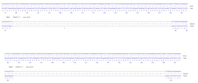 Next Generation Sequencing - Human PDE5A knockout A549  cell line (AB301140), expandable thumbnail