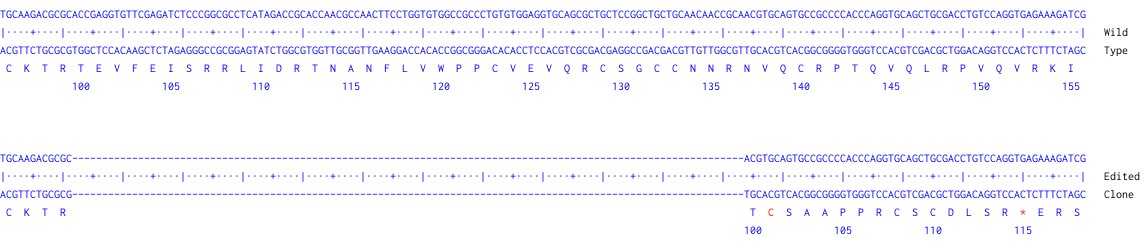 Next Generation Sequencing - Human PDGFB knockout MCF7 cell line (AB287680)