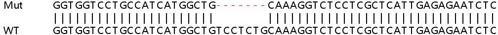 Sanger Sequencing - Human PDIA5 knockout HeLa cell line (AB265829), expandable thumbnail