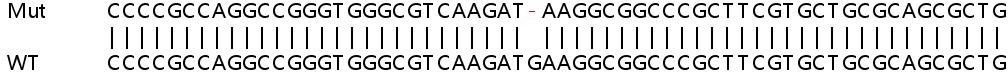 Sanger Sequencing - Human PDK4 knockout HeLa cell line (AB261805), expandable thumbnail
