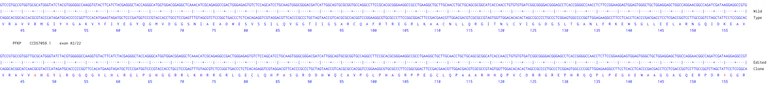 Next Generation Sequencing - Human PFKP knockout MCF7 cell line (AB274909)