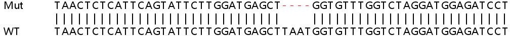 Sanger Sequencing - Human PGR (Progesterone Receptor) knockout HeLa cell lysate (AB257028), expandable thumbnail