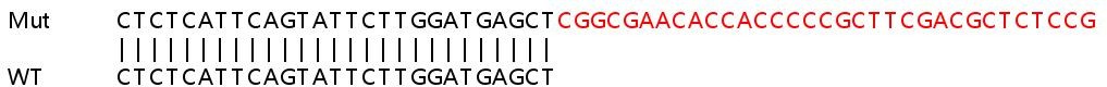 Sanger Sequencing - Human PGR (Progesterone Receptor) knockout HeLa cell lysate (AB257028), expandable thumbnail