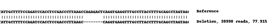 Next Generation Sequencing - Human PHF23 knockout HEK-293 cell line (AB273753)