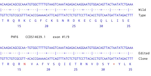 Next Generation Sequencing - Human PHF6 (PHD finger protein 6) knockout HEK-293 cell line (AB261722)