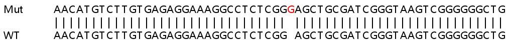 Sanger Sequencing - Human PHIP knockout HeLa cell lysate (AB259039), expandable thumbnail