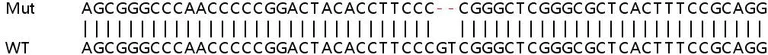 Sanger Sequencing - Human PI4K2A knockout HeLa cell line (AB265820)