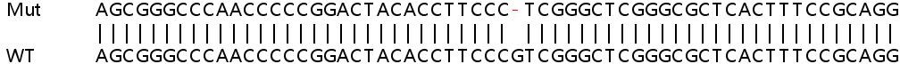 Sanger Sequencing - Human PI4K2A knockout HeLa cell lysate (AB258580), expandable thumbnail
