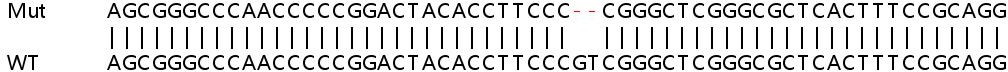 Sanger Sequencing - Human PI4K2A knockout HeLa cell lysate (AB258580), expandable thumbnail