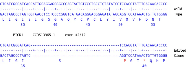 Next Generation Sequencing - Human PICK1 knockout U-87 MG cell line (AB326021)