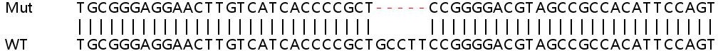 Sanger Sequencing - Human PIGT knockout HEK-293T cell line (AB266183)